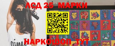 гидропоника Кингисепп