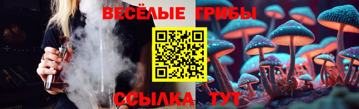 Псилоцибиновые грибы прущие грибы  Вход с VPN  Псилоцибиновые грибы мицелий  Дятьково 