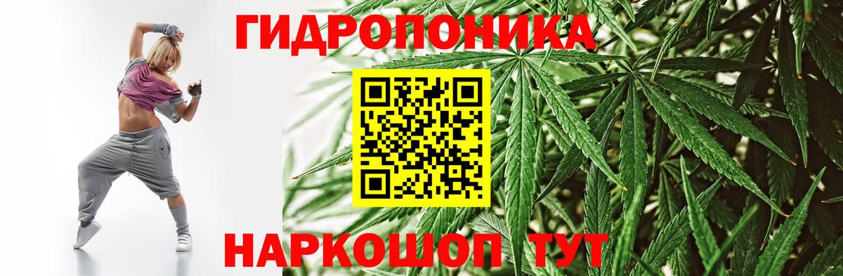 Шишки марихуана ГИДРОПОН Дятьково